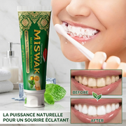 Pasta de dientes a base de hierbas remineralizante de miswak con menta